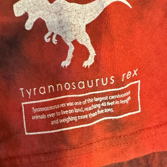 Women’s or youth T shirt Smithsonian Museum T Rex XL - Picture 4 of 11
